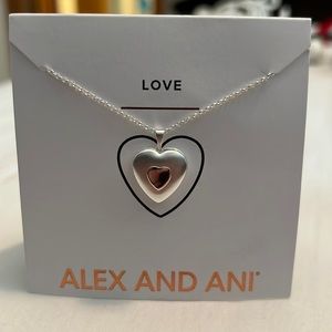 Alex and Ani Necklace